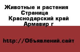  Животные и растения - Страница 4 . Краснодарский край,Армавир г.